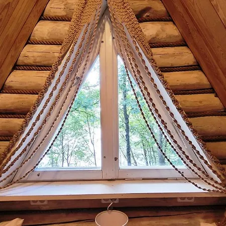 Dağ evi Winnica Niebo - Z Balia Nad Jeziorem *