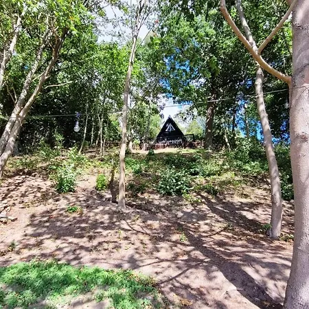 Winnica Niebo - Z Balia Nad Jeziorem * Mezowo