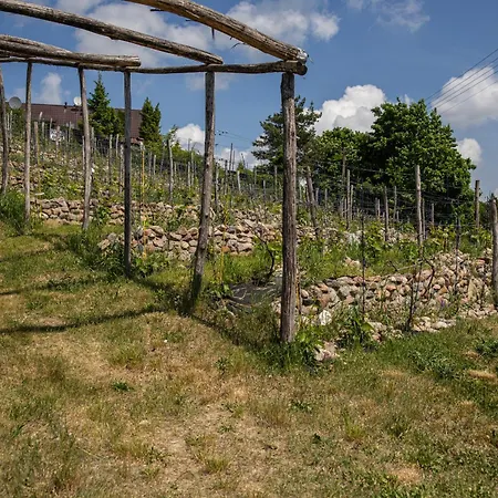 Winnica Niebo - Z Balia Nad Jeziorem *